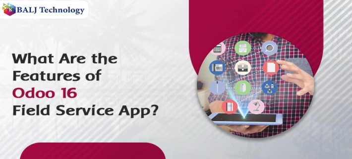 What Are the Features of Odoo 16 Field Service App?