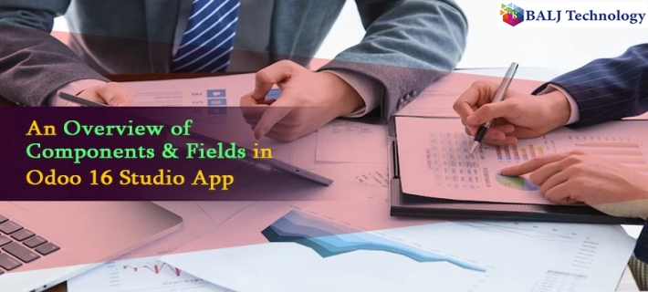 An Overview of Components & Fields in Odoo 16 Studio App